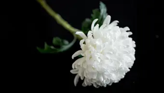 Zmarła prof. dr hab. inż. Katarzyna Tkacz-Śmiech Zmarła prof. dr hab. inż. Katarzyna Tkacz-Śmiech