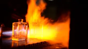 Zignago Vetro Polska szuka młodych talentów – oferta pracy, praktyk i staży